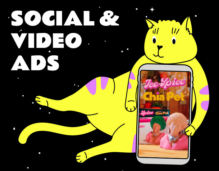 Social Media and Video Ads