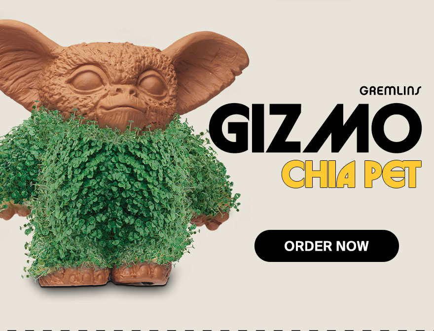 Chia Pet Email